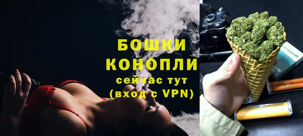 Альфа ПВП Горняк