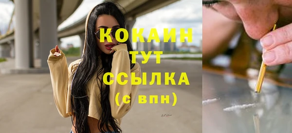 Альфа ПВП Горняк