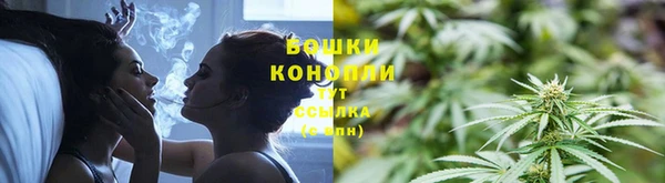Альфа ПВП Горняк