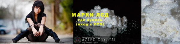 Альфа ПВП Горняк