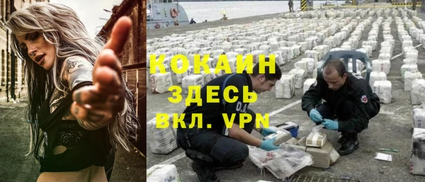 Альфа ПВП Горняк