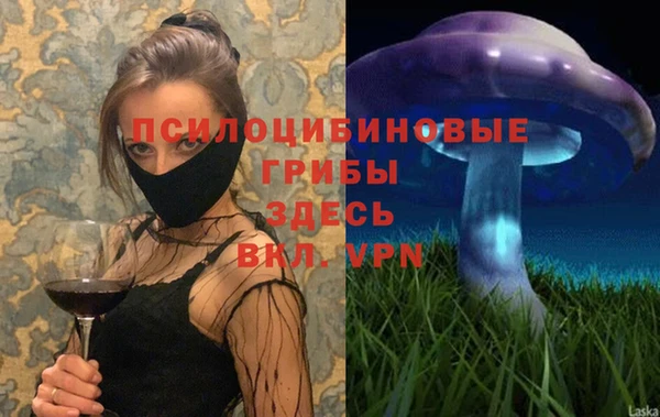 хмурый Горно-Алтайск