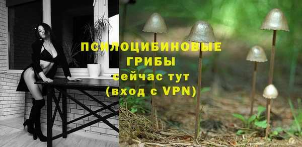 бошки Горнозаводск
