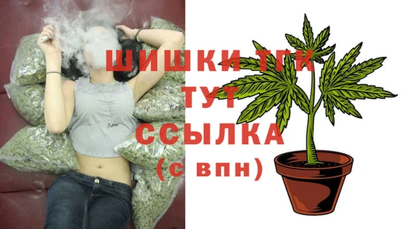 Альфа ПВП Горняк