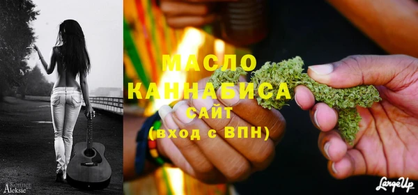 Альфа ПВП Горняк