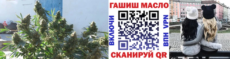 Купить закладки  Артёмовский  ТГК гашишное масло 