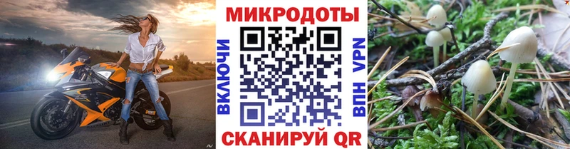 Купить закладки  Артёмовский  Псилоцибиновые грибы Magic Shrooms 